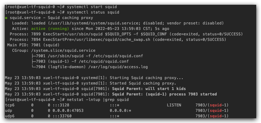 Linux squid 